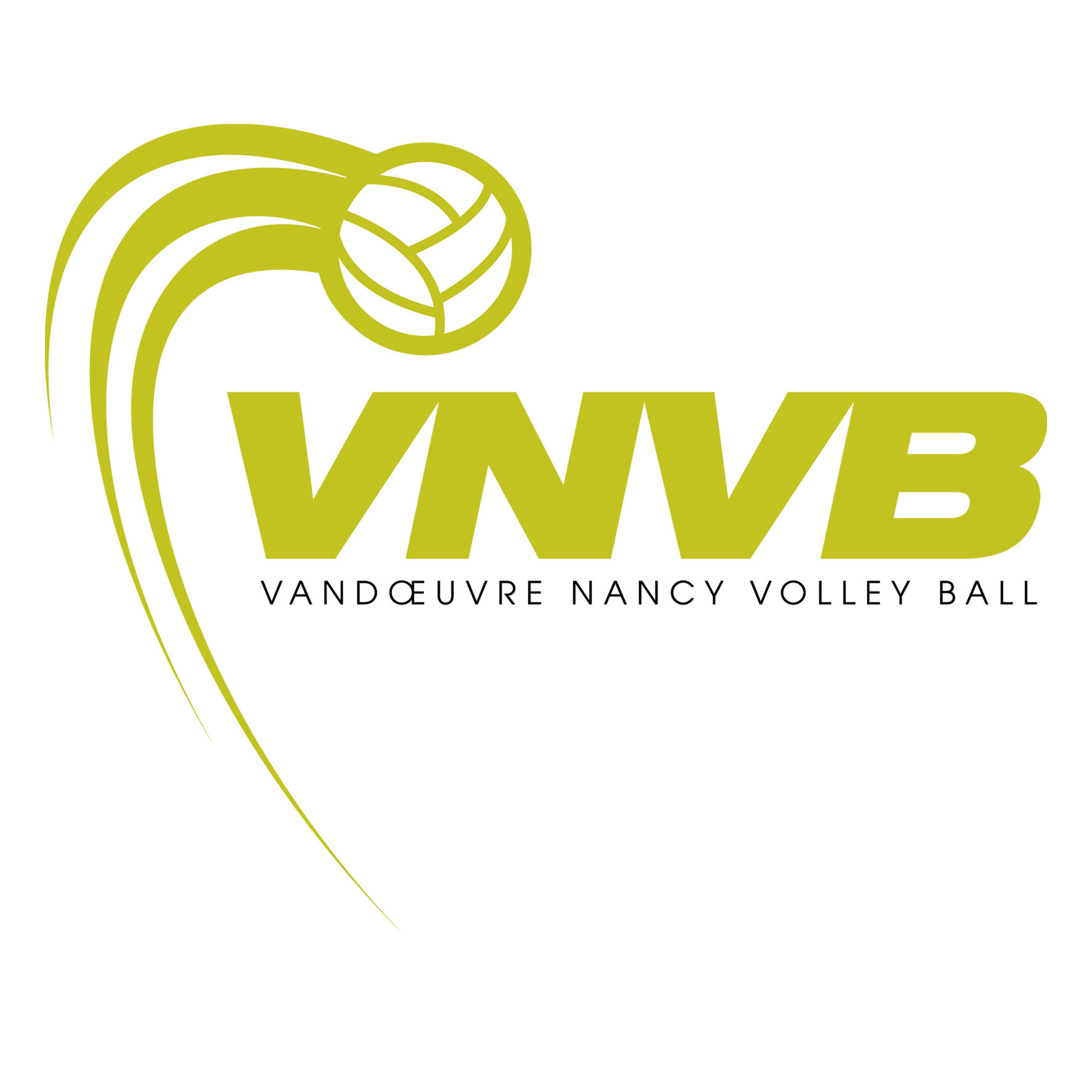 VNVB logo